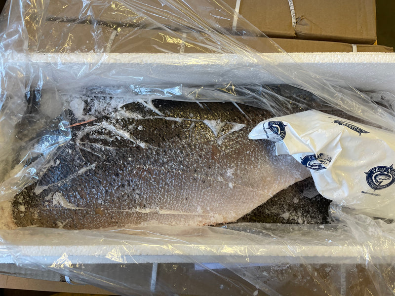 Atlantic Salmon Fillet (3 per case)
